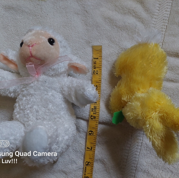 2 Stuffed Animals - Picture 3 of 4